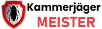 Wespenbekämpfung, Bild